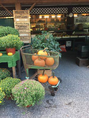 Fall at the farmstand