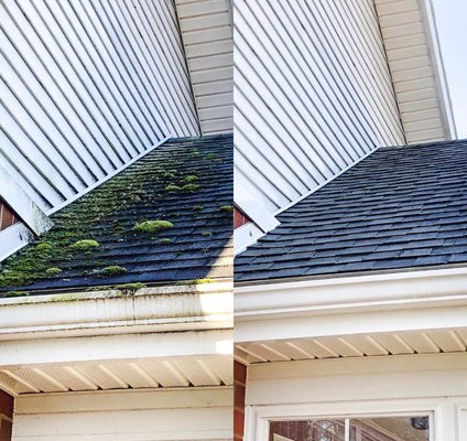 Search for Evergreen Exteriors - Pressure Washing: Siding, Gutters, Roof, Deck, Patio, Driveway, and more!