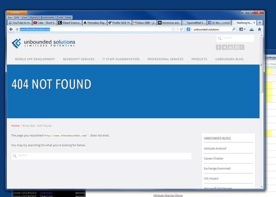 What kind of dumdums use "404 Page Not Found" as their home page?