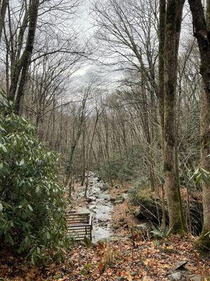 The view from above the falls