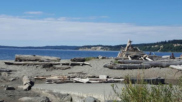 Drift wood fort