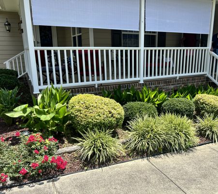 Plant trimming and Hedges Butner NC