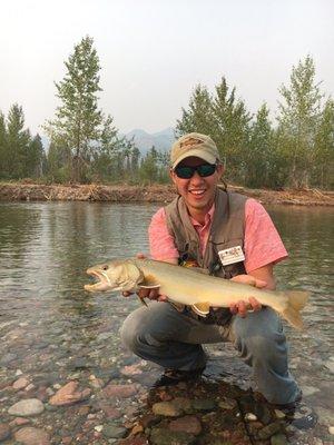 Bull trout in the Bob