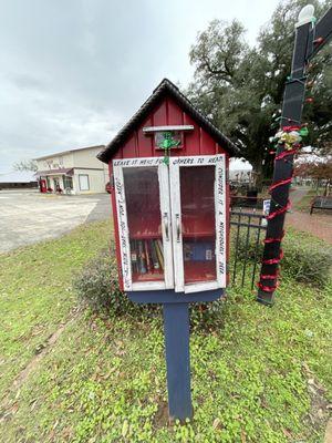 Little Free Library Community Book Box