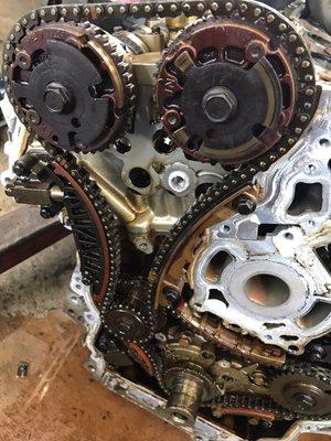 In House Timing Chain Replacement