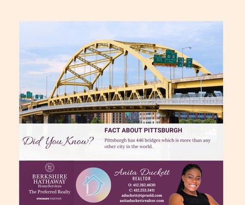 The city of Pittsburgh is full of bridges. Let me be the bridge to your real estate dreams. Visit https://anitaduckettrealtor.com for info.