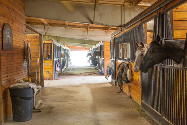 White Pole Stables