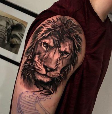 Lion Tattoo