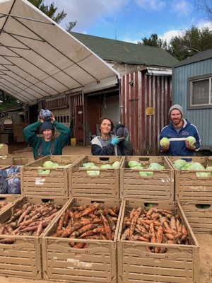 Farm crew with fresh cabbage and carrots!