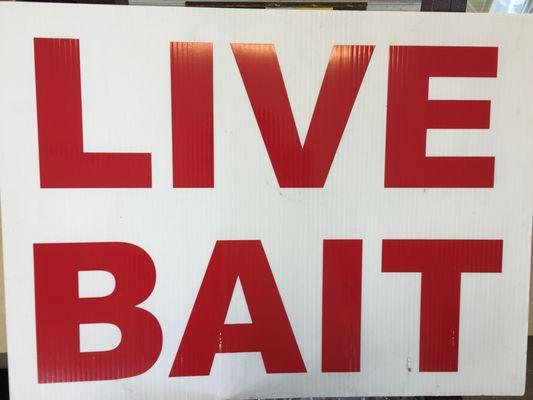 Live bait! Minnows, worms, and crickets!