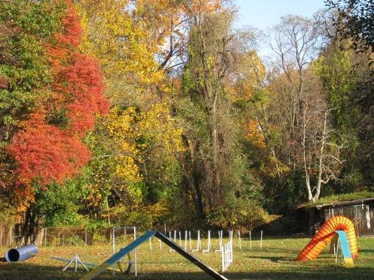 Outdoor space for agility classes and dog obedience training