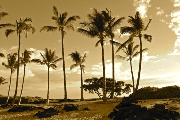 One of the many locations in Hawaii to celebrate your marriage.