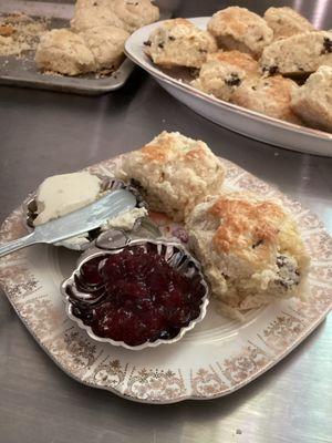 Fresh baked traditional scones