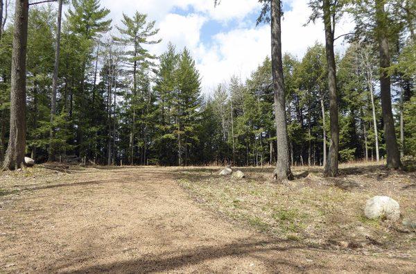 Lot clearing to prep for Hydroseed