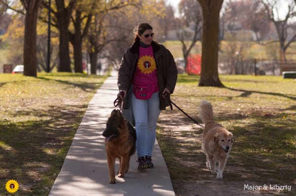 Major & Liberty out for their Thursday walk.