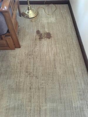 Before Picture of a coffee spill.