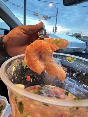 Shrimp size