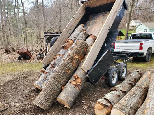 Haul firewood