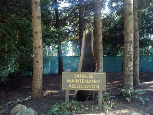 Sahalee Maintenance Assn