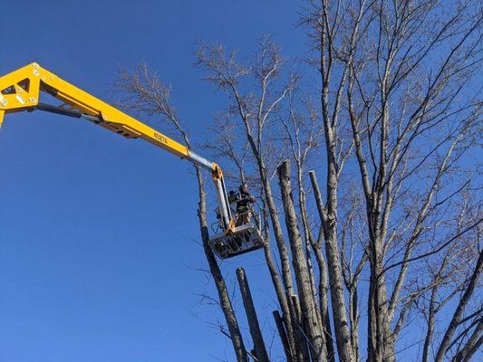 Top Notch Tree Service