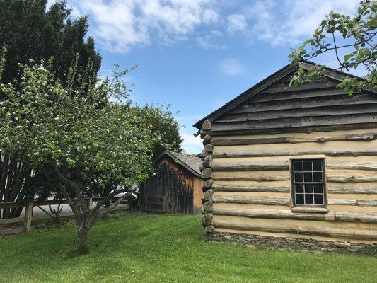 Our log cabin and apple tree. Stop back in Sept. for the apples!