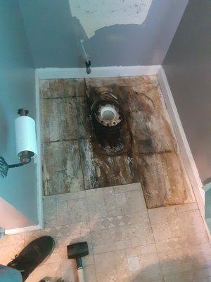 Yeah, this one needed new sub floor before someone was using the restroom under the house.