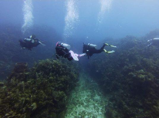 Diving in Roatan in November 2022 days before Thanksgiving.  Great place to go back to.