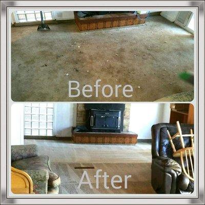 Pet Stains - Carpet Cleaning Before and After