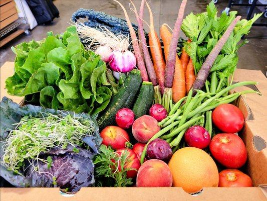 SLO Veg Harvest Box Aug 8-12, 2022. Get yours now!