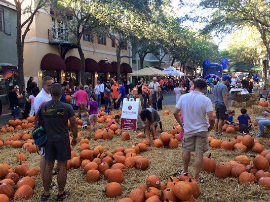 The annual Pumpkin Patch Bosshardt Realtor and Customer appreciation event.