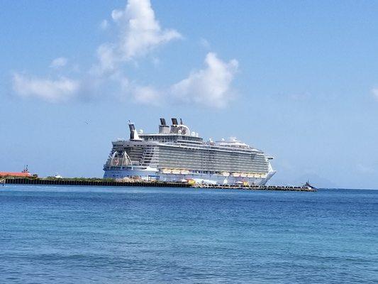 Royal Caribbean