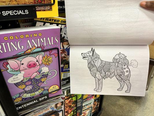 Niece and I got a kick out this coloring book when in line called Farting Animals lol