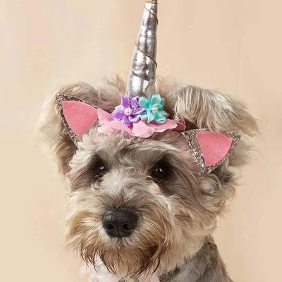 Girl puppy unicorn birthday hat!