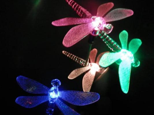 Come see the swarms of solar powered LED dragonflies, butterflies and hummingbirds glow!