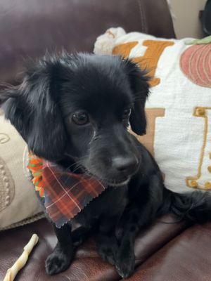 Her first groom!!