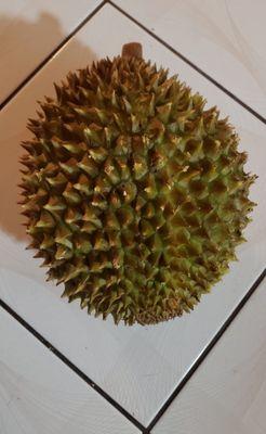 Frozen whole durian