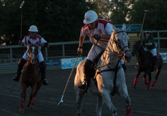 Watch the action packed Twilight Polo games while enjoying a night in the countryside.