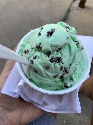 Green Mint Chip