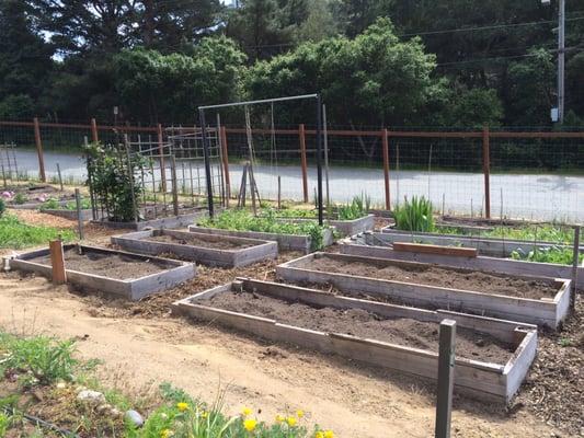 Aptos Community Garden