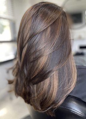 Dimensional brunette foilyage w/layered cut