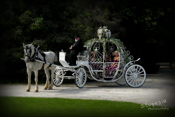 Cinderella Pumpkin Coach