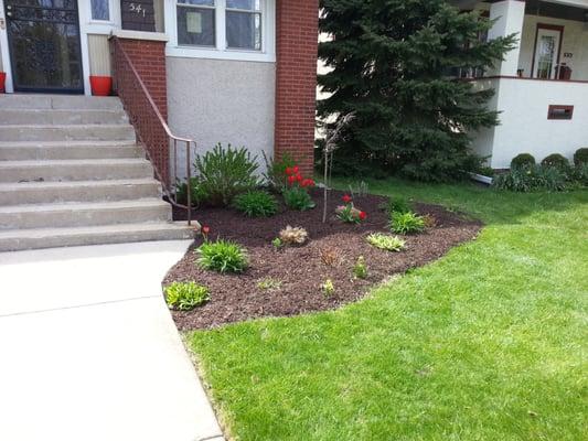 spring clean up and mulch installation