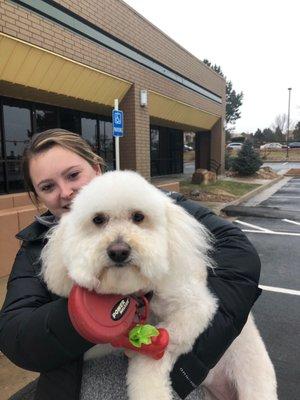 Dog is all groomed! Looks great!