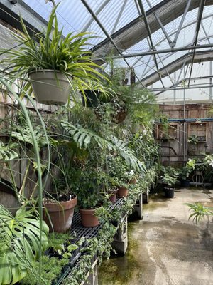 Lamoureux  Greenhouses