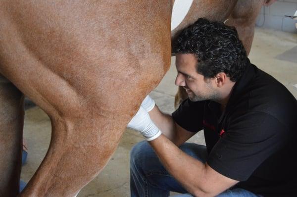 Dr. Alberto Rullan, VMD is the owner and head veterinarian at Performance Equine Veterinary Services...