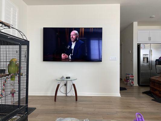 Wall mount tv