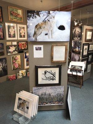 Collections of art by talented local artists showing, paintings, drawing and photography along with jewelry and ceramics.