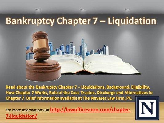 Bankruptcy Chapter 7 - Liquidation