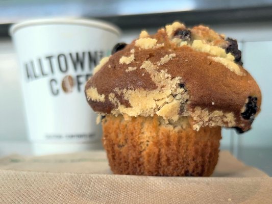 Blueberry Muffin: on the days it's fresh, it's as good as the name bakeries.