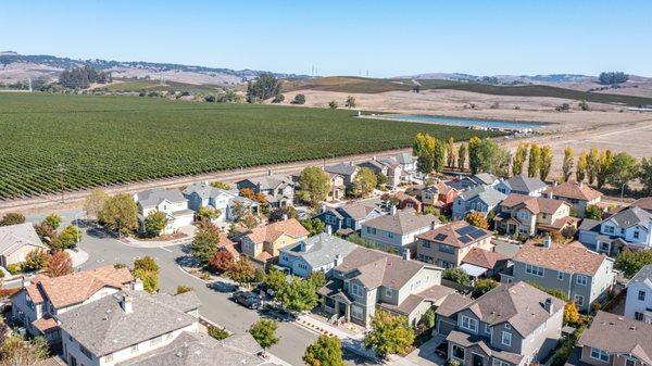 Southgate sits adjacent vineyards, open space and Sonoma County's bountiful bucolic farmland.